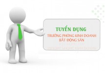 Tuyển Trưởng phòng Kinh doanh Bất động sản